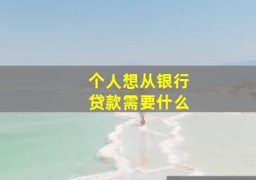 个人想从银行贷款需要什么