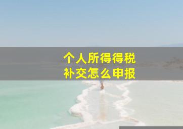 个人所得得税补交怎么申报