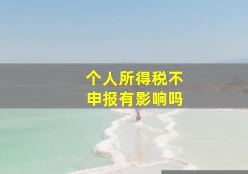 个人所得税不申报有影响吗