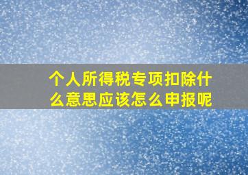 个人所得税专项扣除什么意思应该怎么申报呢