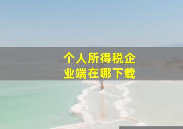 个人所得税企业端在哪下载