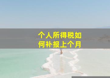 个人所得税如何补报上个月