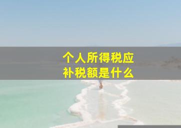 个人所得税应补税额是什么