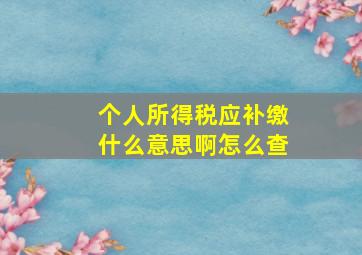 个人所得税应补缴什么意思啊怎么查