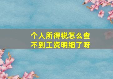 个人所得税怎么查不到工资明细了呀