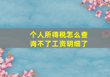 个人所得税怎么查询不了工资明细了