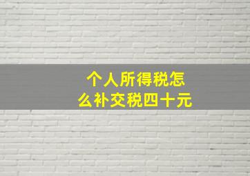 个人所得税怎么补交税四十元