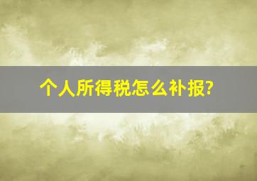 个人所得税怎么补报?