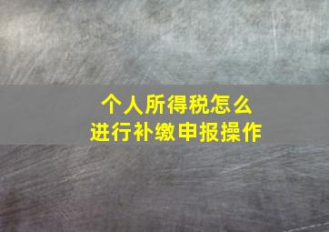 个人所得税怎么进行补缴申报操作