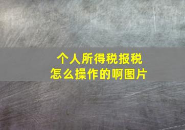 个人所得税报税怎么操作的啊图片