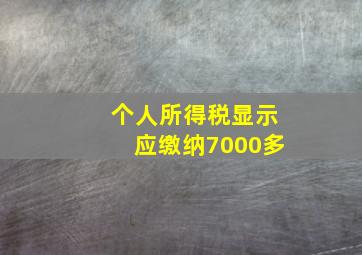 个人所得税显示应缴纳7000多