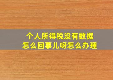 个人所得税没有数据怎么回事儿呀怎么办理