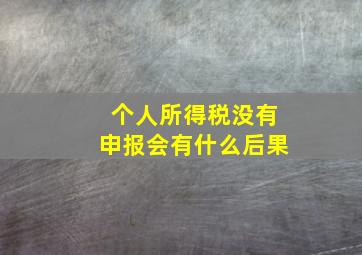 个人所得税没有申报会有什么后果