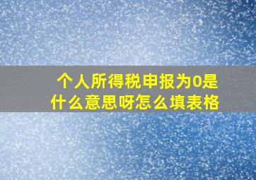 个人所得税申报为0是什么意思呀怎么填表格