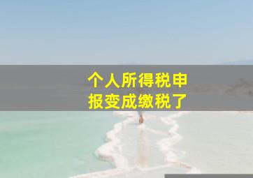 个人所得税申报变成缴税了