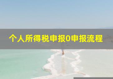 个人所得税申报0申报流程