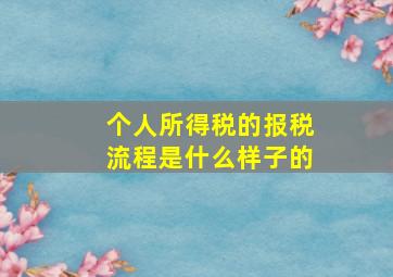 个人所得税的报税流程是什么样子的