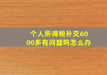 个人所得税补交6000多有问题吗怎么办