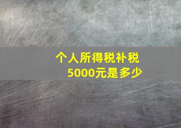 个人所得税补税5000元是多少