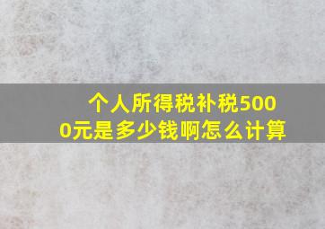 个人所得税补税5000元是多少钱啊怎么计算