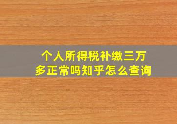 个人所得税补缴三万多正常吗知乎怎么查询