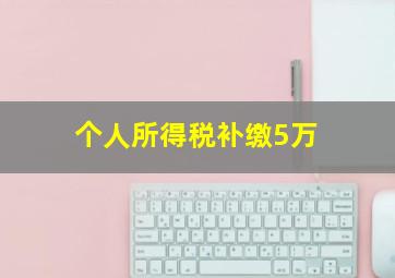 个人所得税补缴5万