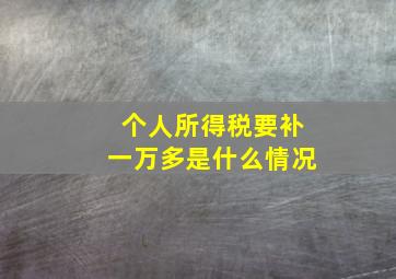 个人所得税要补一万多是什么情况