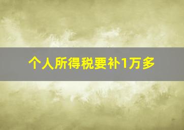 个人所得税要补1万多