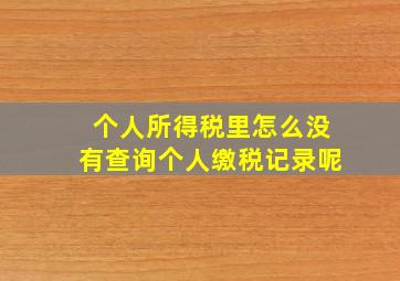 个人所得税里怎么没有查询个人缴税记录呢