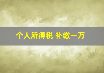 个人所得税 补缴一万