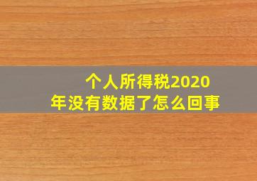 个人所得税2020年没有数据了怎么回事