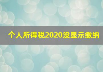 个人所得税2020没显示缴纳