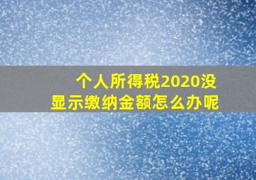 个人所得税2020没显示缴纳金额怎么办呢