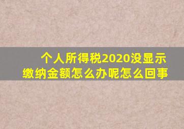 个人所得税2020没显示缴纳金额怎么办呢怎么回事