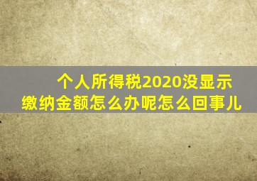 个人所得税2020没显示缴纳金额怎么办呢怎么回事儿