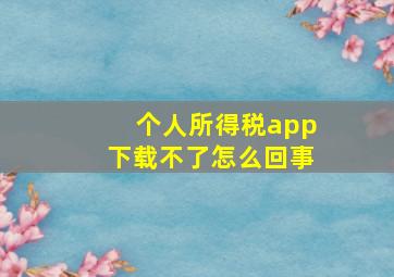 个人所得税app下载不了怎么回事