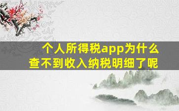 个人所得税app为什么查不到收入纳税明细了呢