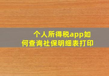 个人所得税app如何查询社保明细表打印