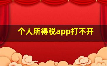 个人所得税app打不开