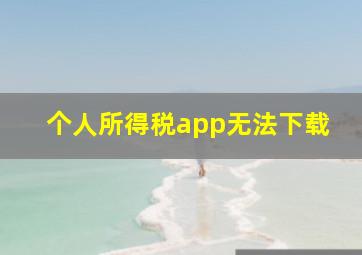 个人所得税app无法下载