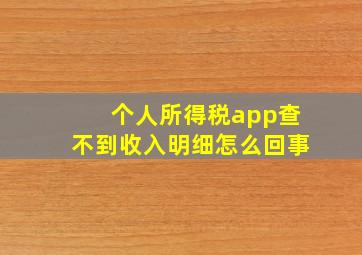 个人所得税app查不到收入明细怎么回事