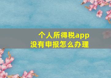 个人所得税app没有申报怎么办理