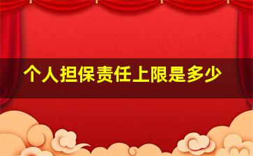 个人担保责任上限是多少