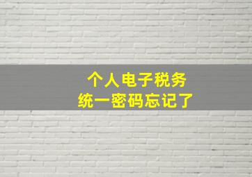 个人电子税务统一密码忘记了