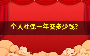 个人社保一年交多少钱?