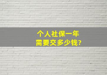 个人社保一年需要交多少钱?