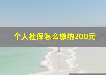 个人社保怎么缴纳200元