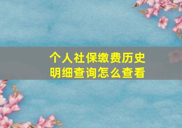 个人社保缴费历史明细查询怎么查看