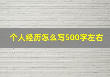 个人经历怎么写500字左右