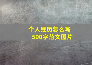 个人经历怎么写500字范文图片